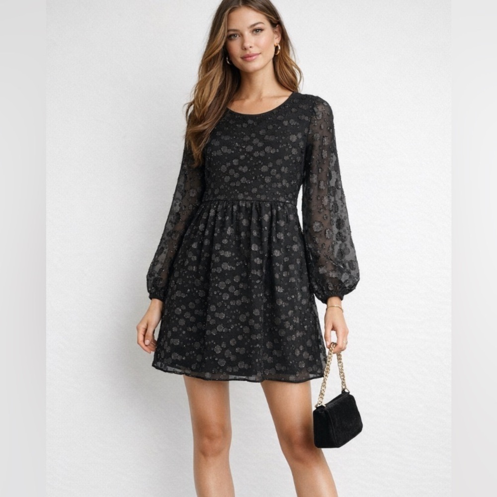 J.Crew Black Metallic Swiss Dot Sheer Long Sleeve dress size 4